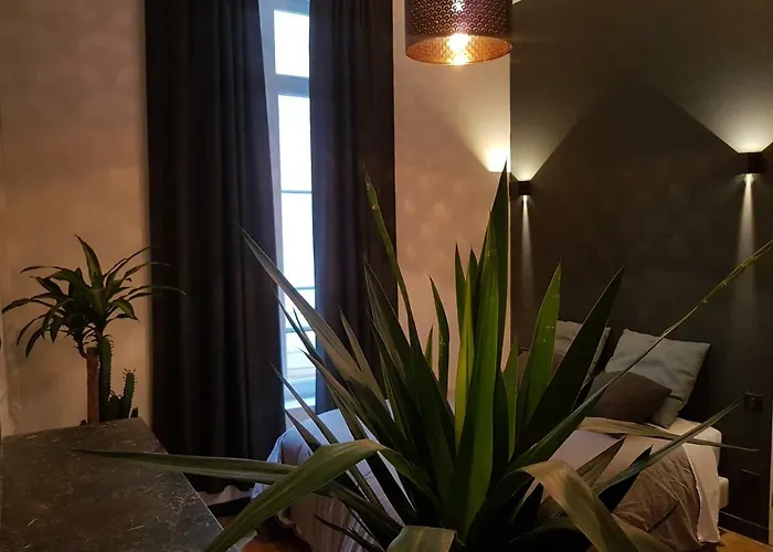 Apartment Loft Zen - Jacuzzi - Centre Historique *